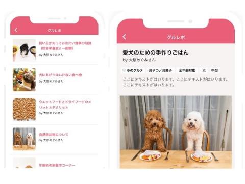 飼い主向けアプリ「PetHeart」が、ペットのレシピ集の提供をスタート