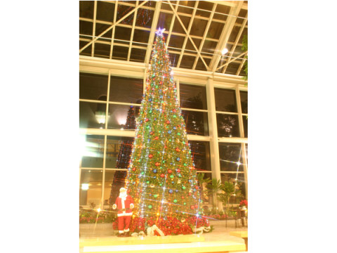 「淡路ハイウェイオアシス」に9mのクリスマスツリーとイルミネーションが登場！