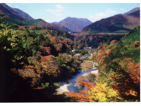 新しい働き方を提案！栃木県那須塩原市・板室温泉の“ワーケーション”が本格始動