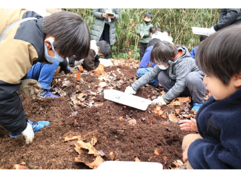 竹チップで子どもたちにカブトムシに触れる体験を。愛知教育大学がクラファンに挑戦中