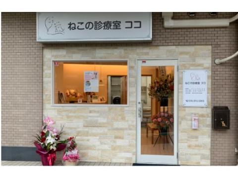 猫にやさしい猫専門病院「ねこの診療室ココ」が横浜に新規開院！