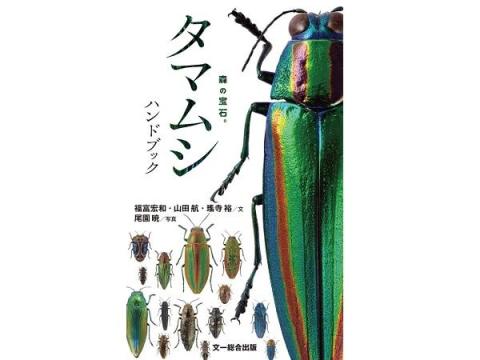 “森の宝石”と称される美しい昆虫「日本産タマムシ」の識別図鑑が登場