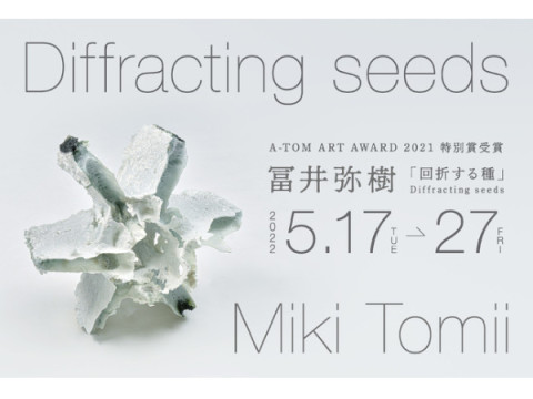 冨井弥樹個展「回折する種 -Diffracting seeds-」が富山県美術館内レストランで開催中