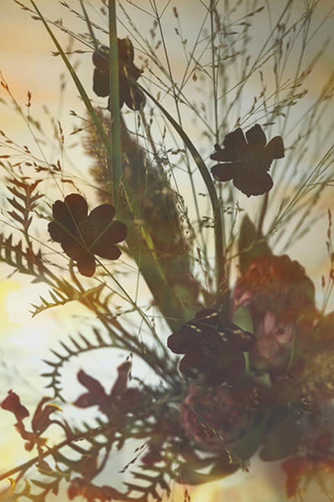 OSAJIの『Fall Bouquet』シリーズのビジュアル写真