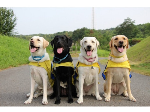 「ANAのふるさと納税」やイオンペット「絆キャンペーン」で日本介助犬協会をサポート
