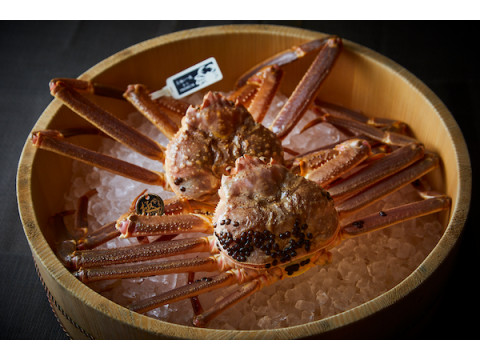 東京・銀座の「かにじぇんぬ銀座」で5万円超えの松葉蟹尽くしコースを2022円で提供