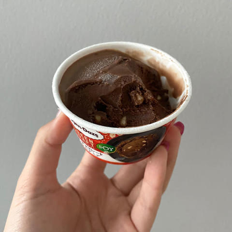 ハーゲンダッツの「GREEN CRAFT ミニカップ『豆乳チョコレート＆マカデミア』」