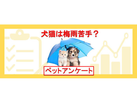 ペット保険比較のピクシーが「犬や猫のための梅雨対策」に関する調査結果を公開！