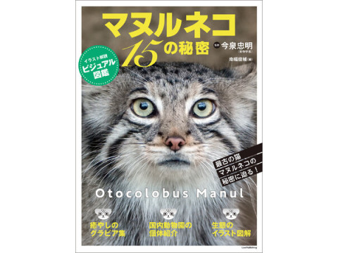 世界最古の猫・マヌルネコ初のビジュアル図鑑『マヌルネコ 15の秘密』発売！