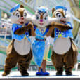 🎵chip and dale🎵