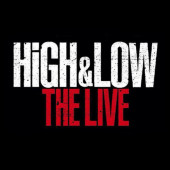 HiGH＆LOW THE LIVE  参戦する方
