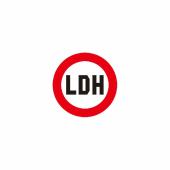 LDH   family