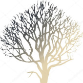 死者の木