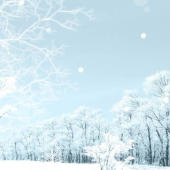 浮世雪降り愛を知れ____。
