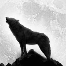 狼のアイコン画像