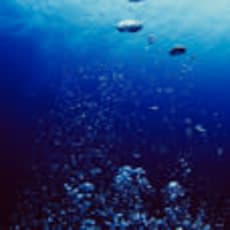 深海のアイコン画像