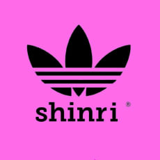 n_shinriのアイコン画像