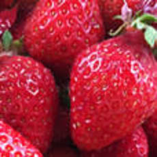 strawberryloveのアイコン画像