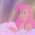 泡姫のアイコン画像