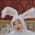 SUGA_MOMOのアイコン画像