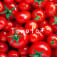 Tomato＊のアイコン画像