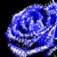 青 薔薇 .。のアイコン画像