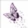 黒蝶のアイコン画像