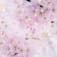 伊野尾桜のアイコン画像