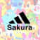 sakura.yのアイコン画像