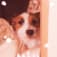 Mako Makoのアイコン画像