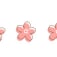 桜の姫君のアイコン画像