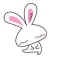 カリスマ白ウサギのアイコン画像