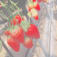 柚架のアイコン画像