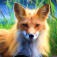 歌狐のアイコン画像